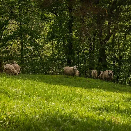 El Sualleiro Santa Eulalia de Oscos